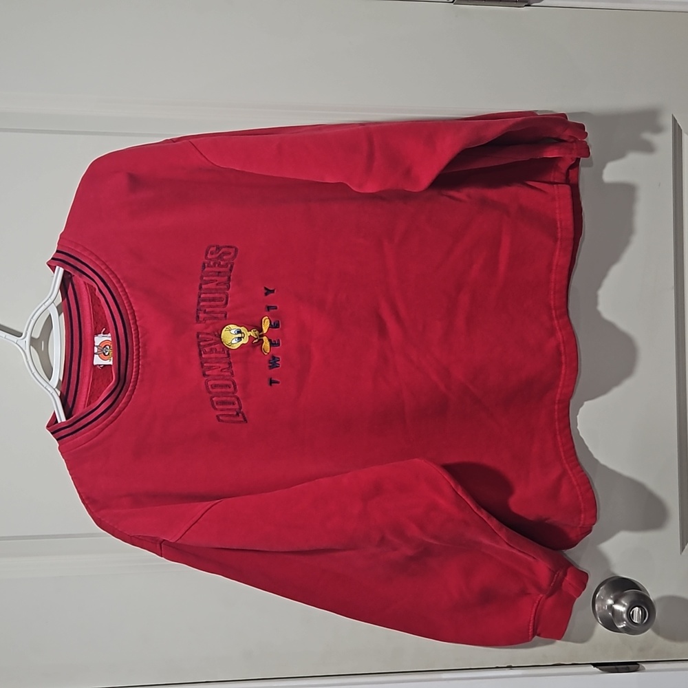 Looney Tunes sweater